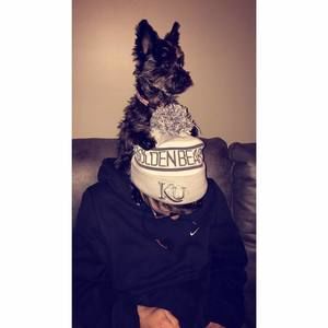 Meet your Posher, Ryan